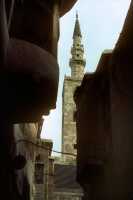 277 Damas près de la Mosquée des Ommeyades
