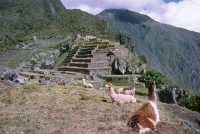 232 Temples vus du Sud près de Huayna Picchu