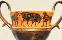 084 Vase à boire (kantharos) Béotie ± 520