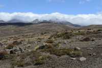 27 Rangipo Desert & Mont Ruapehu B