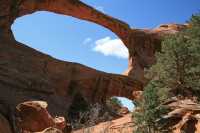 122 Double Arch