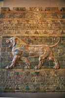 144 - Frise des lions - Cour orientale du palais de Darius ± 510