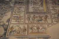 072 Procession (offrande de raisins et de vin) - Dionysos foule le raisin - Bergers trayant une chèvre
