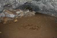 19 Grotte d'Ana Te Pahu
