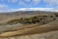 20 Rangipo Desert & Mont Ruapehu