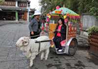 42 Mouton & touriste chinoise