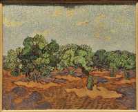 09 Vincent Van Gogh - Oliviers (1889)