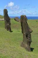 63 Moai sur la pente du volcan B