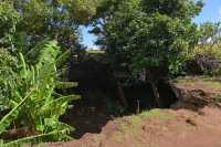 24 Grottes d'Ana Te Pahu