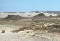 40 Désert du Sinaï
