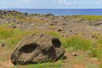11 Fragment d'une tête de Moai - Hanga Poukura