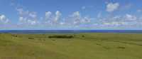 39 Moai dispersés autour du volcan
