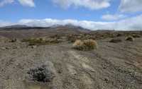 25 Plante -  Rangipo Desert & Mont Ruapehu B