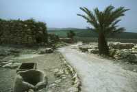 201 Megiddo