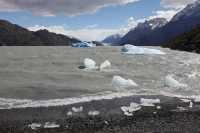 063 Lago Grey & icebergs
