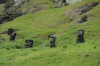 21 Moai dans le cratère du volcan