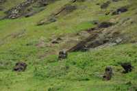 29 Moai dans le cratère du volcan