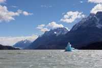 049 Glacier & Lago Grey