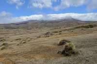 18 Rangipo Desert & Mont Ruapehu