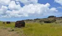 20 Pukaos (coiffes) & Moai - Hanga Poukura