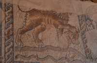 103 Lion (protecteur) tenant une tête de taureau - Synogogue