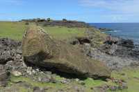 17 Moai jamais érigé  - Ahu Akahanga