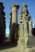 12 Ramsès II - Louxor