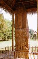 184 Quirigua stèle