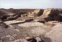 55 Tombes royales de la 1° dynastie d’Ur (2700-2500)
